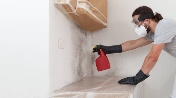 Professional Mold Removal technician working in Sadsburyville, PA