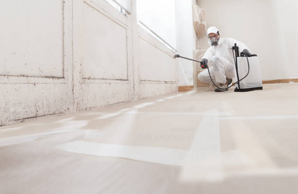 24/7 Emergency Mold Removal experts in Sadsburyville, PA