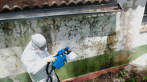 Top rated local Mold Remediation specialists in Sadsburyville, PA